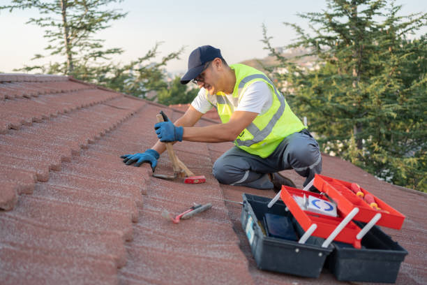 Best Roof Maintenance Services  in Waimea, HI