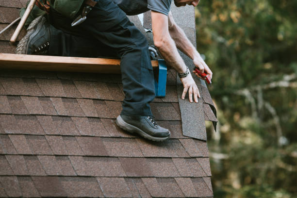 Best Roof Gutter Cleaning  in Waimea, HI